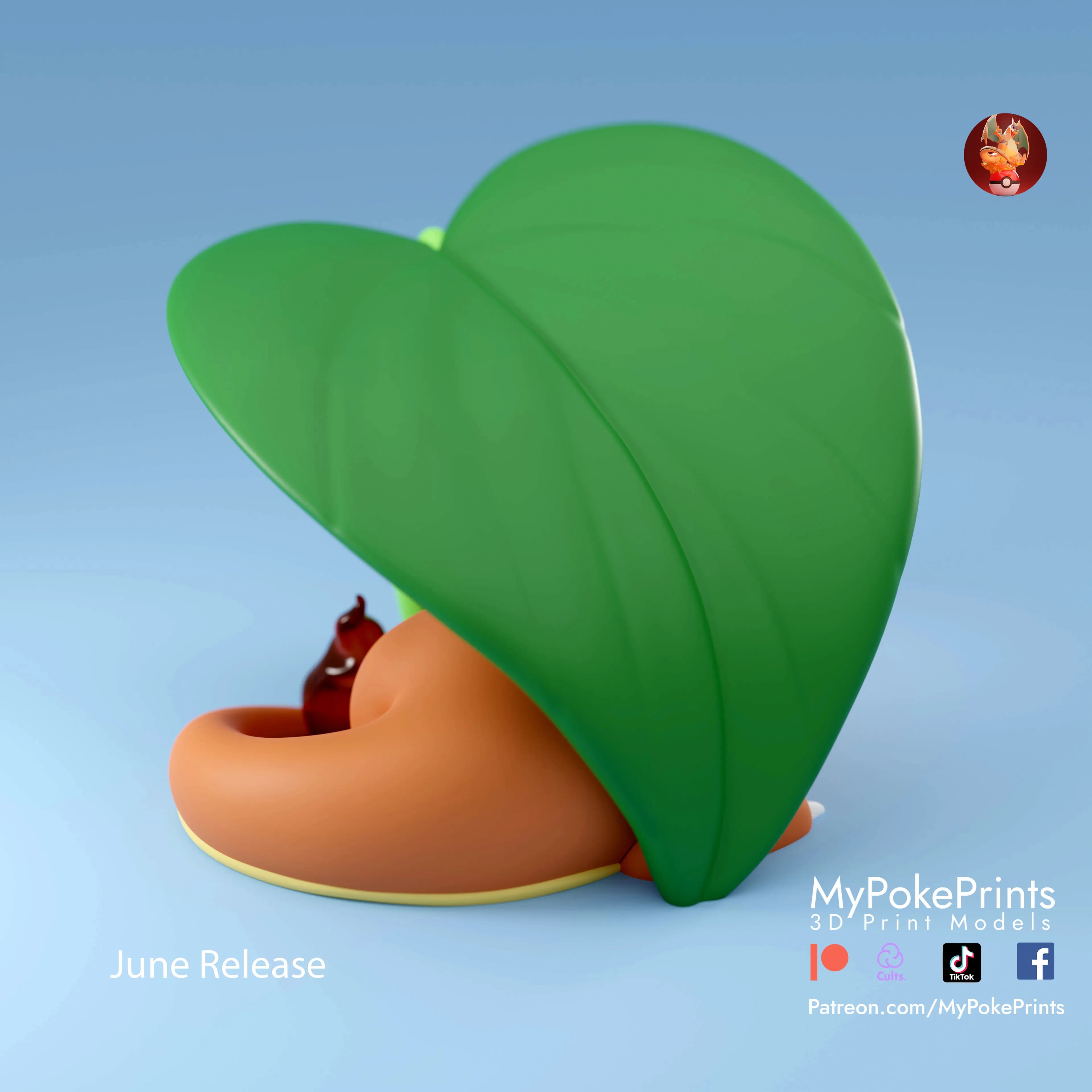 Charmander rainy - Imagen 3